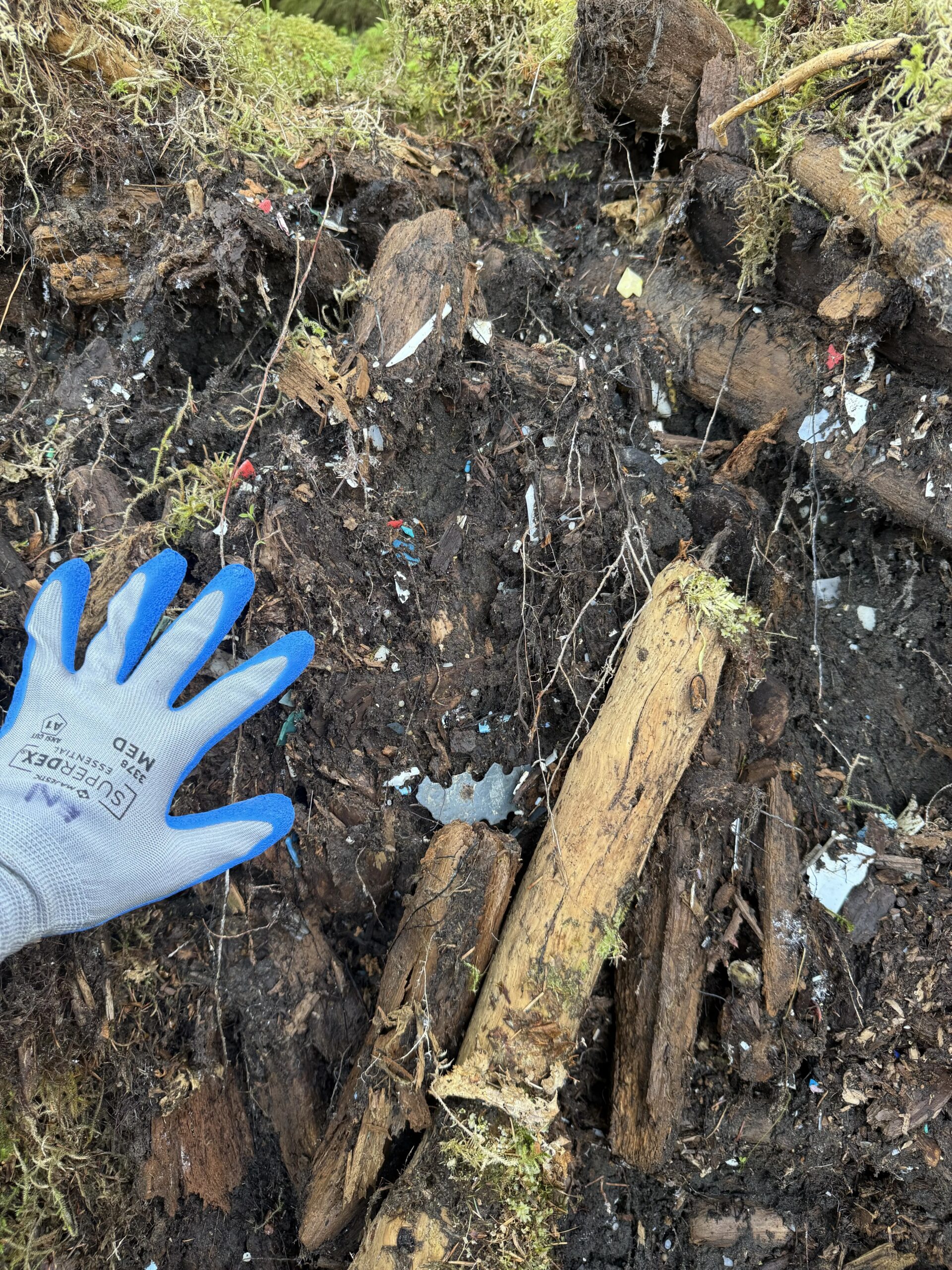 Erinn Nobel volunteering with Gulf of Alaska Keeper on a remote Alaskan beach